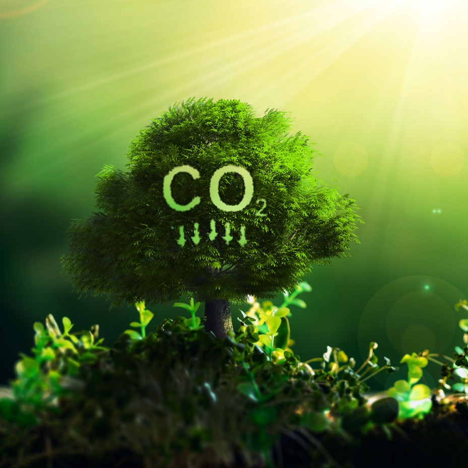 Captura, utilización y almacenamiento de carbono