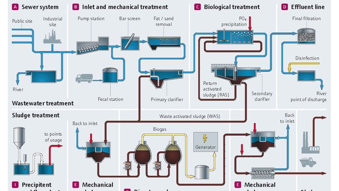 Proceso de tratamiento de aguas residuales y fangos