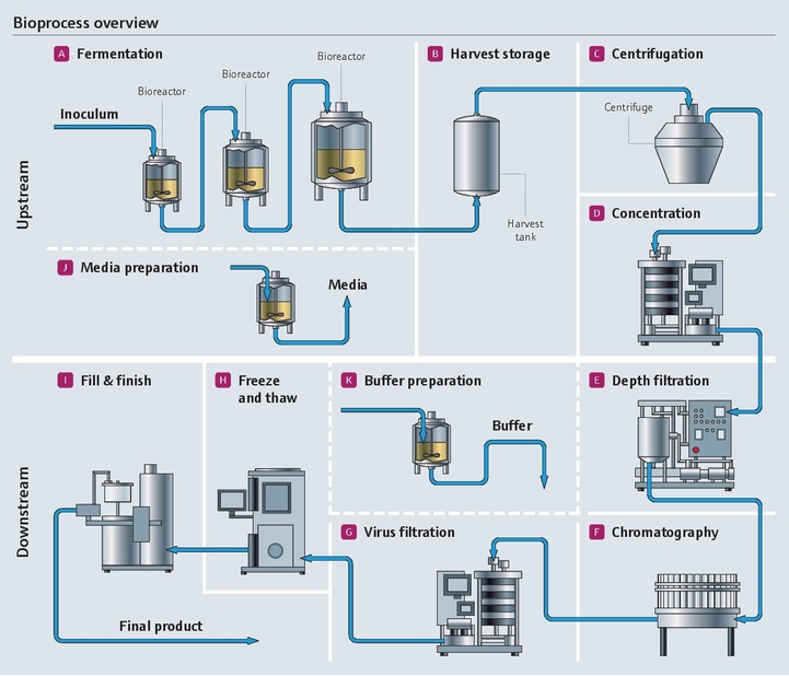 Bioproceso en la industria farmacéutica