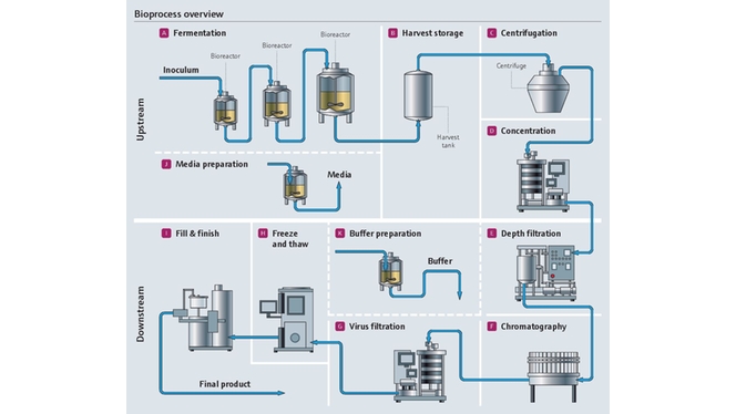 Bioproceso en la industria farmacéutica