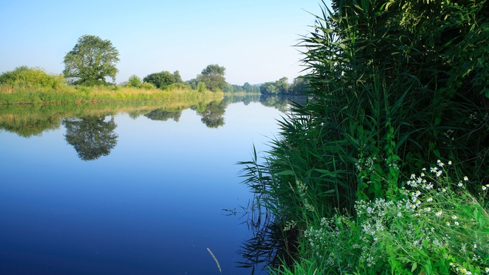 Protección medioambiental