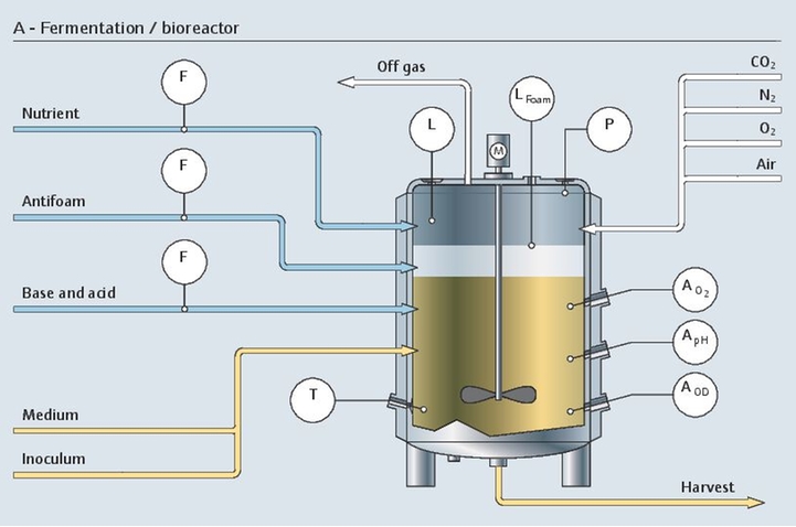 Proceso de fermentación