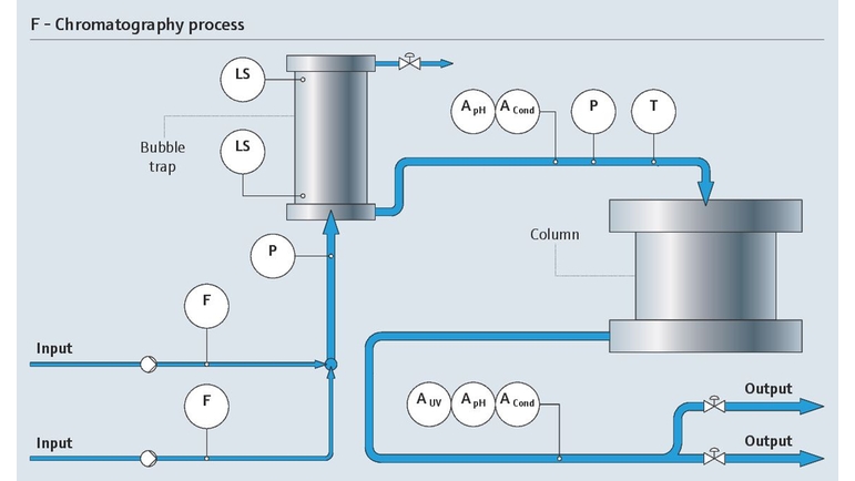 El proceso de cromatografía de separación y purificación con sus puntos de medición relevantes