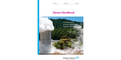 Manual sobre vapor: introducción a la generación y distribución de vapor