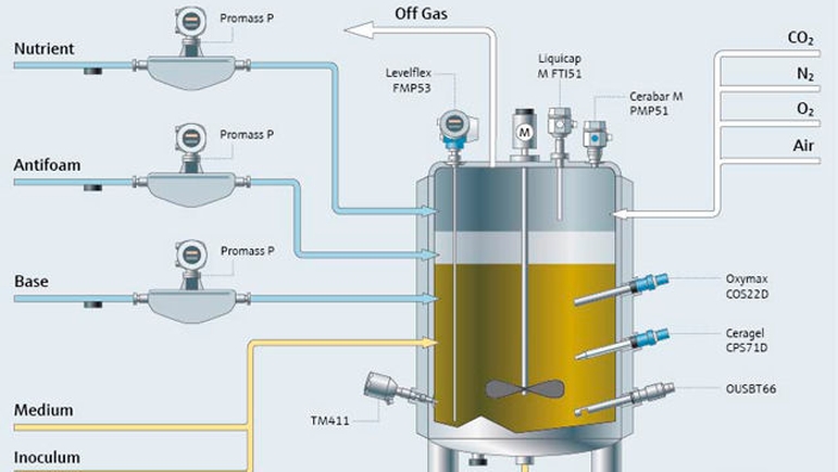 proceso de fermentación