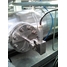 Sonda Raman para medición de la composición de GNL