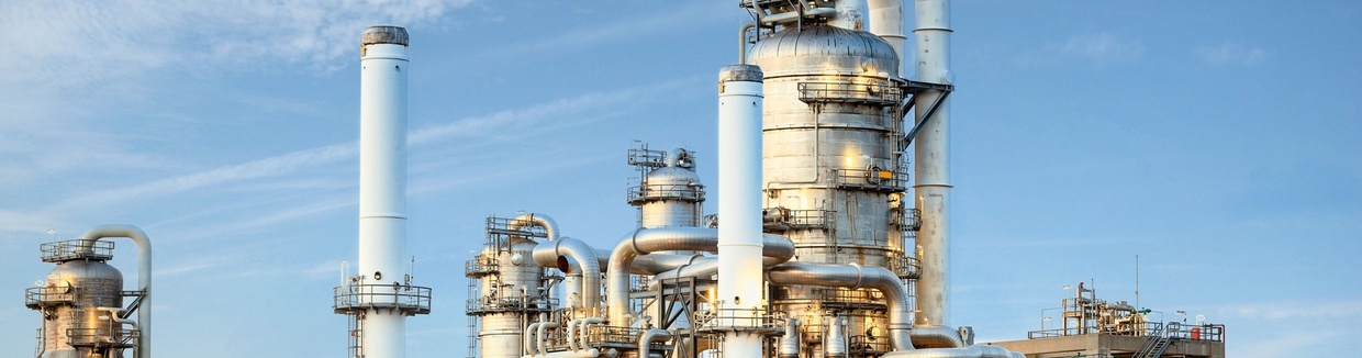 Asociarse con Endress + Hauser como un importante proveedor de equipos (MIV), minimiza el riesgo del proyecto en todas las fases.