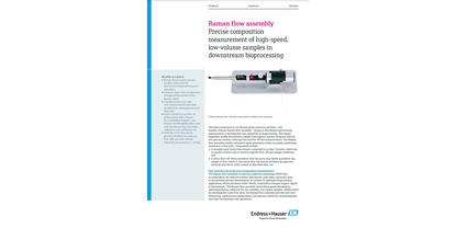 Image of Raman flow assembly brochure for downstream bioprocessing